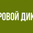 Жителей региона проверят на знания в области безопасности персональных данных - Комитет по образованию Усольского района
