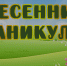 50 детей в период весенних каникул прибыли в лагерь на базе Усольского санатория  - Usolie.Irk.Today