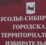 И снова… выборы - Усольская Городская Газета